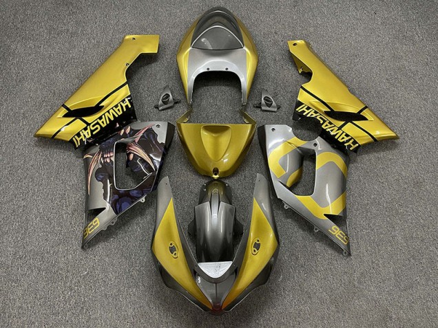 Gold and Silver Kawasaki ZX6R Fairings 2005-2006 Gold and Silver Kawasaki ZX6R Fairings 2005-2006