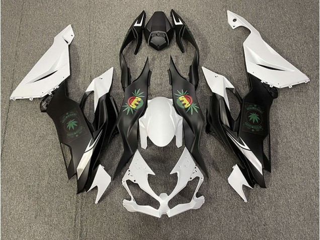 Happy Face Kawasaki ZX6R Fairings 2019-2020